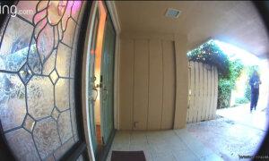 Legal Service Providers Jump In to Defend Those Involved in Self-Defense Shootings