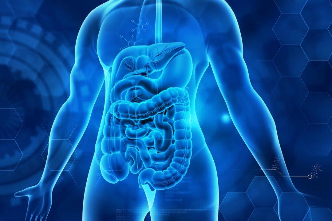 6 Expert Strategies for a Healthy Gut in 2024
