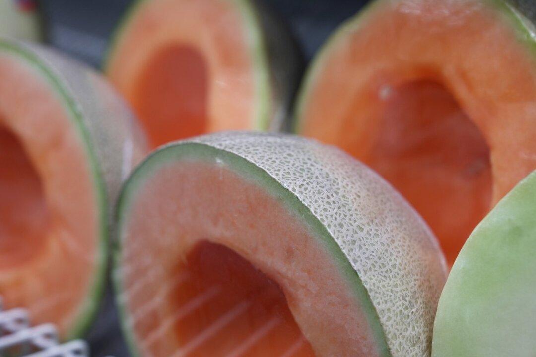 Canadian Death Toll in Cantaloupe Salmonella Outbreak Rises to Seven