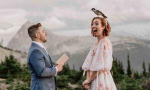 Photo of a Bird Landing on Bride’s Head Wins International Wedding Photographer of the Year