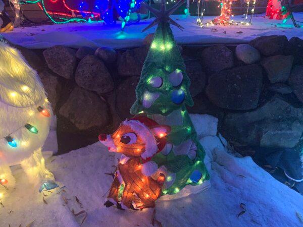 A light-up Rudolph the Reindeer at Cindy and John Bruno’s home in Concord, Calif., on Dec. 19, 2023. (Helen Billings/The Epoch Times)