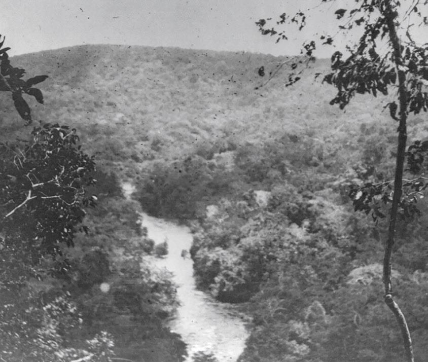 Kermit Roosevelt’s photograph of a river along the Roosevelt– Rondon Scientific Expedition, 1913. (Public Domain)