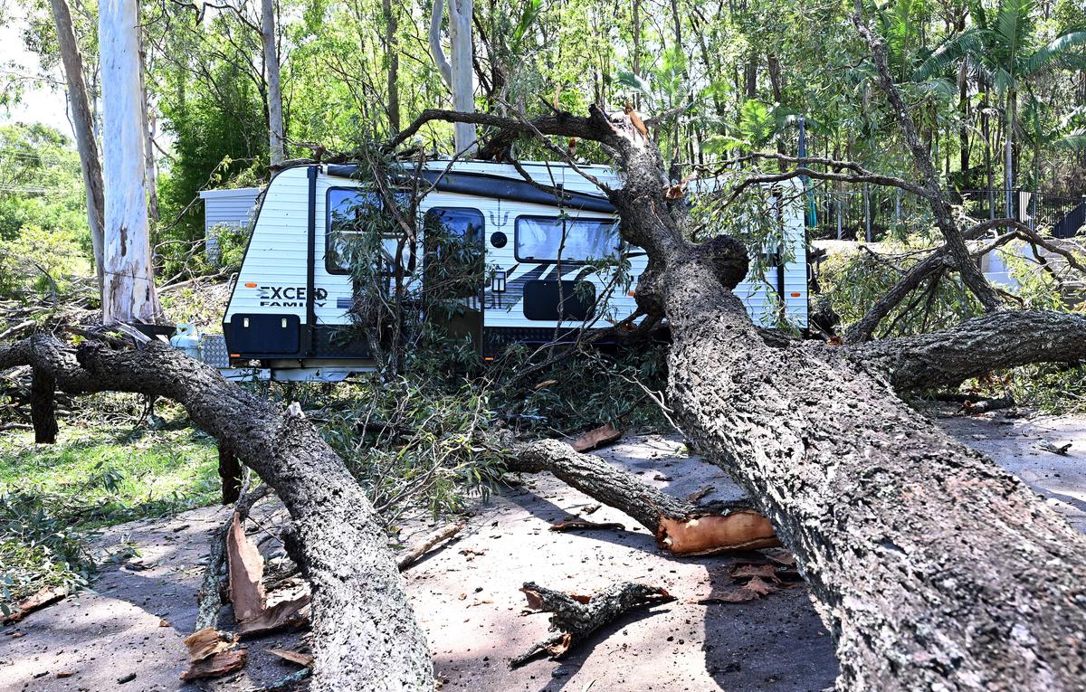 Woman Killed by Falling Tree as Storms Lash Queensland