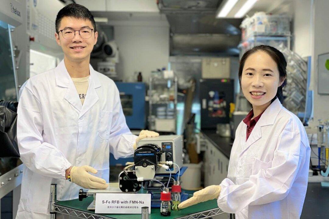 CUHK Progress in Biomimetic Molecular Catalyst Highly Promising for Future Energy-Efficiency of Redox Flow Batteries