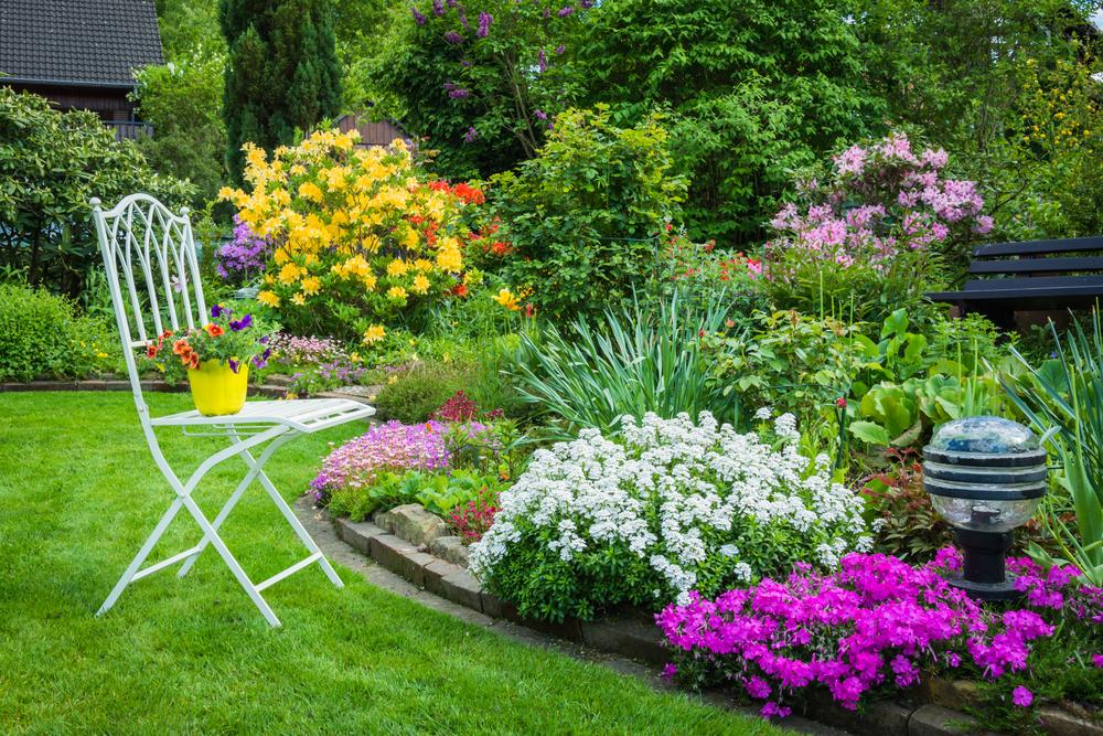 Constant Color: Designing a 4-Season Garden