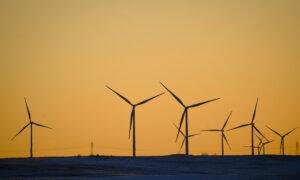 US Power Grid May Become Unreliable This Summer, Watchdog Warns