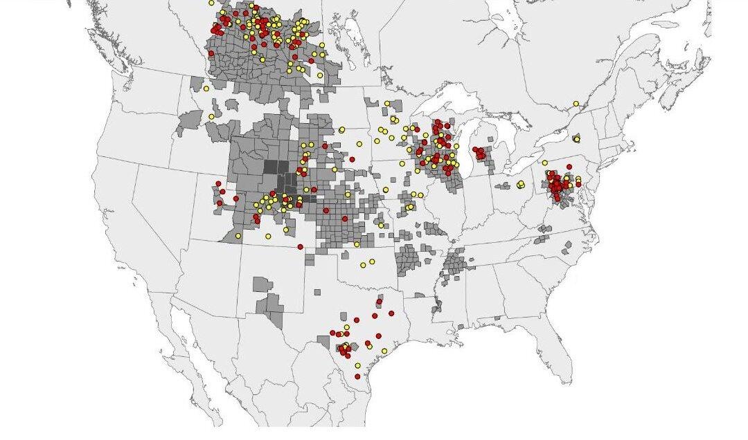 CDC Responds to New Concerns Over ‘Zombie Deer Disease’