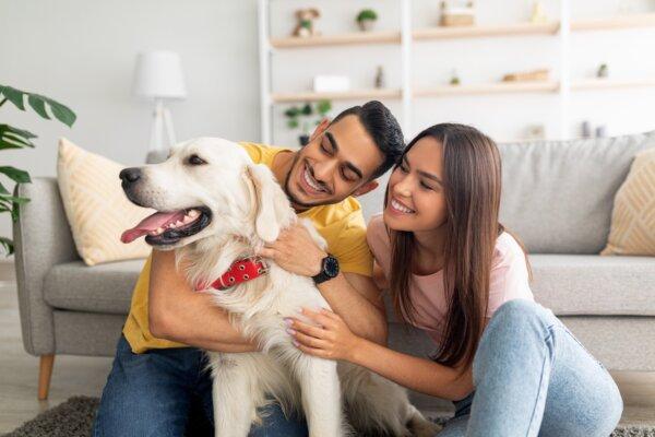 A couple scratch their pet dog at home. (Prostock-studio/Shutterstock)