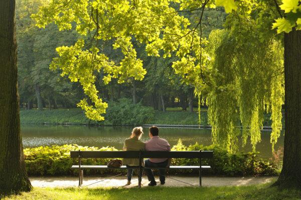 Doing nothing is one of the most beneficial things we can "do" for ourselves. (D. Kucharski K. Kucharska/Shutterstock)