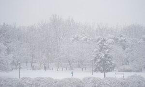 South Korea’s Capital Records Heaviest Single-Day Snowfall in December for 40 Years
