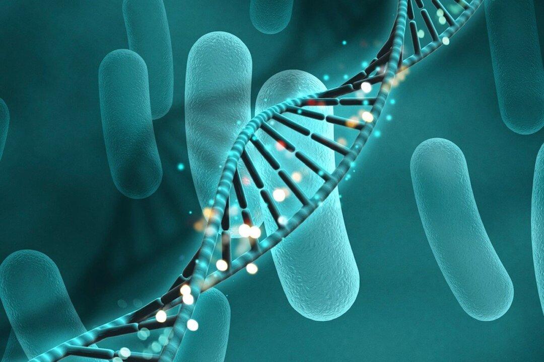 COVID-19 Linked to ‘Alarming Rise’ of Rare and Highly Lethal Fungal Infection