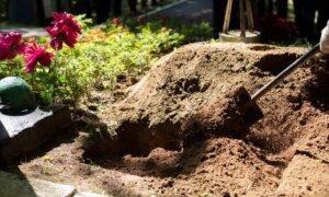 The Wuhan Cover-Up: Review of Bobby Kennedyâs Crucial Book