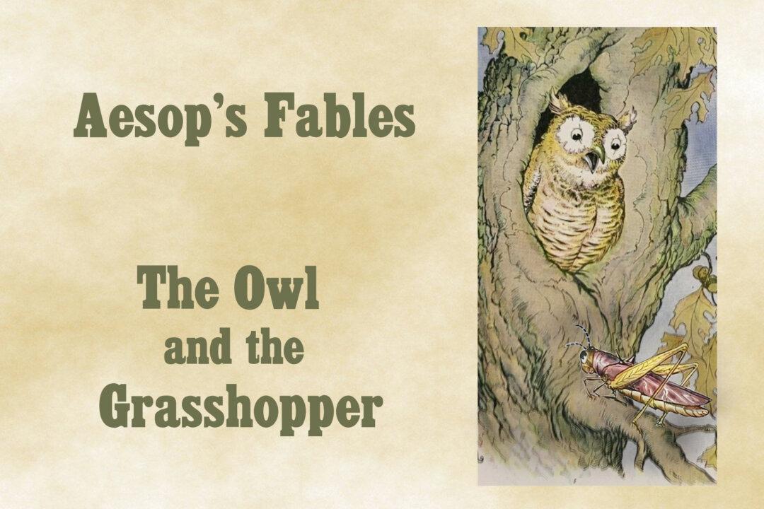 Aesop’s Fables: A Foolish Grasshopper Gets Taken In by an Owl’s Flattering Words