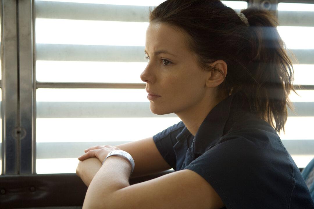 ‘Nothing but the Truth’: A Focus on Reporting