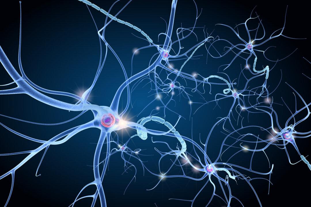 Researchers Identify Potential Precursors to Multiple Sclerosis