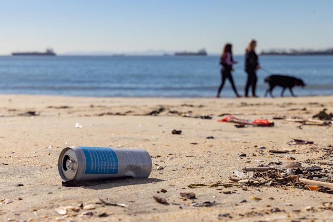 Camping to Be Banned at Popular California Beach After Human Waste, Trash Threaten Wildlife