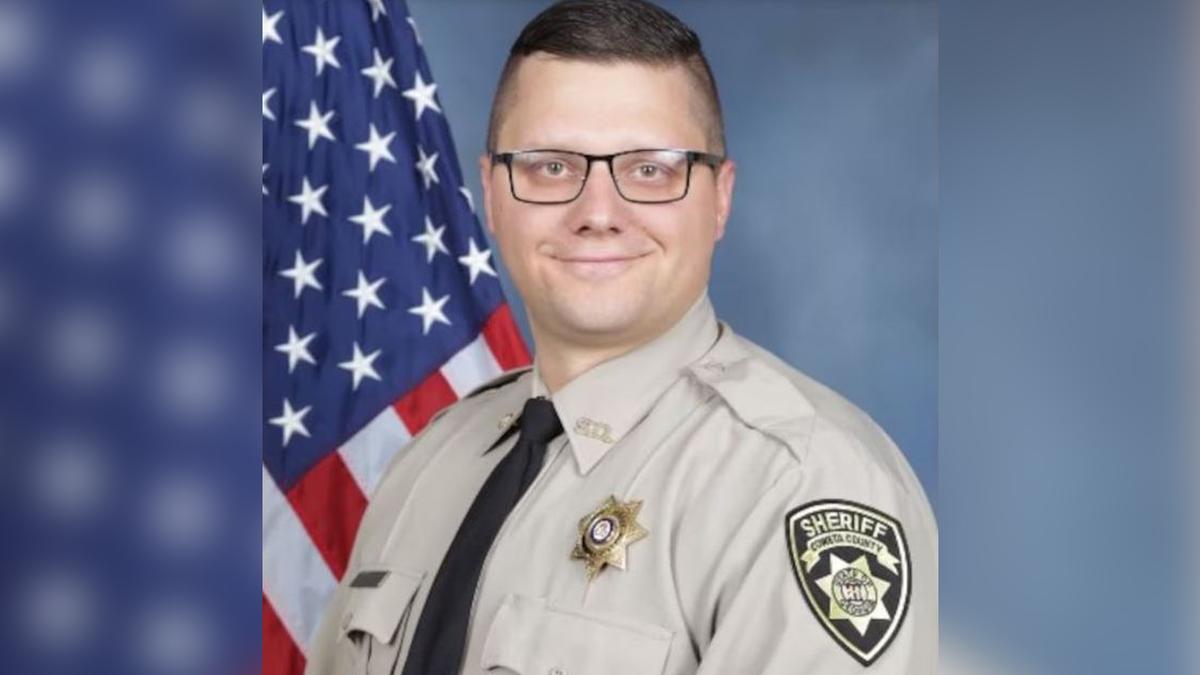 Georgia Deputy Killed When Struck by Police SUV During Chase