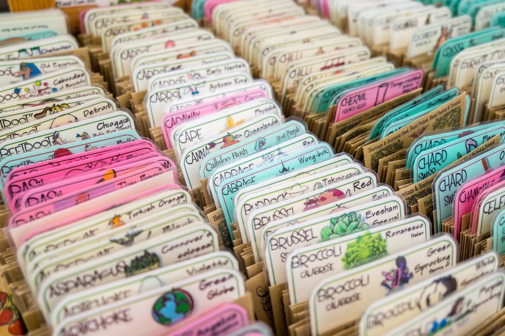Going through seed catalogs to pick out seed packets for spring can be the best part of winter. (Alex Yeung/Shutterstock)