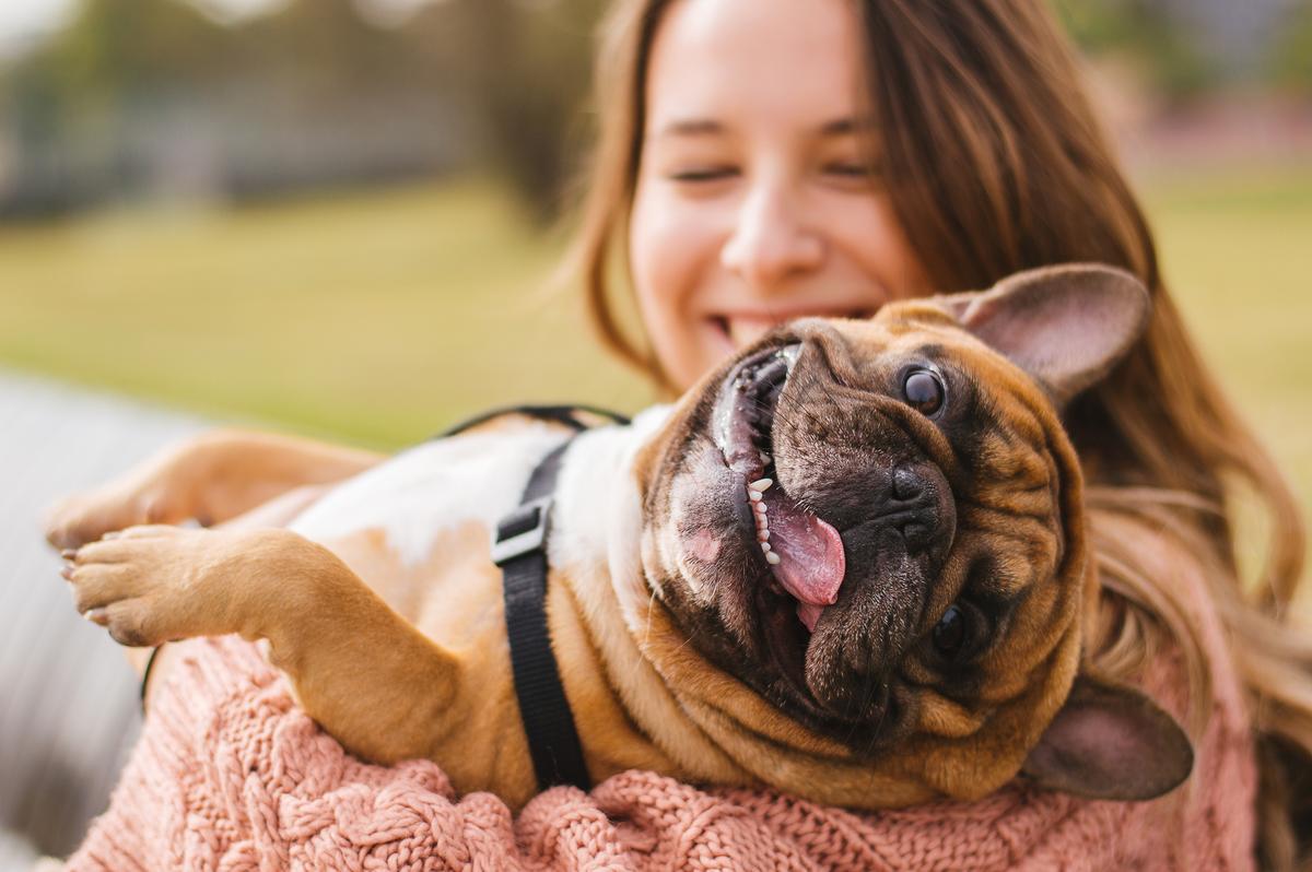 As the saying goes, all dogs are good dogs. (Shutterstock)