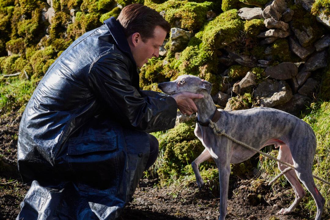 Self-Care Tips From the Pages of James Herriot