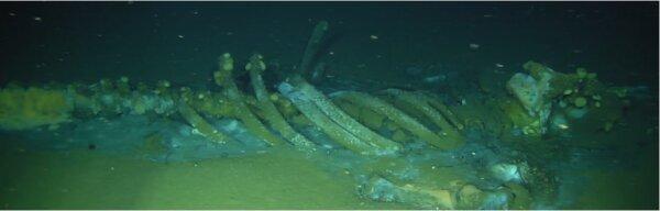 A sample image of a whale fall identified in the sonar survey of the San Pedro Basin. (Courtesy of University of California–San Diego Scripps Institution of Oceanography)