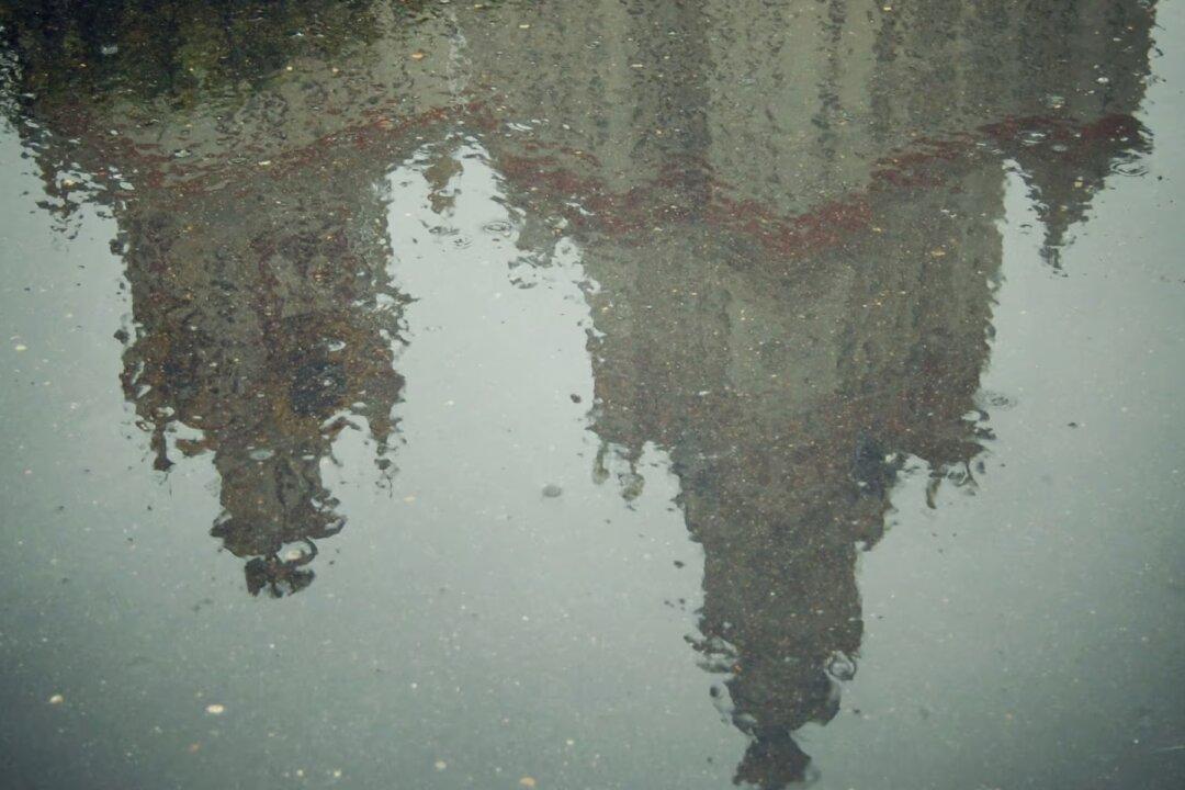 The Real Purge in Academia