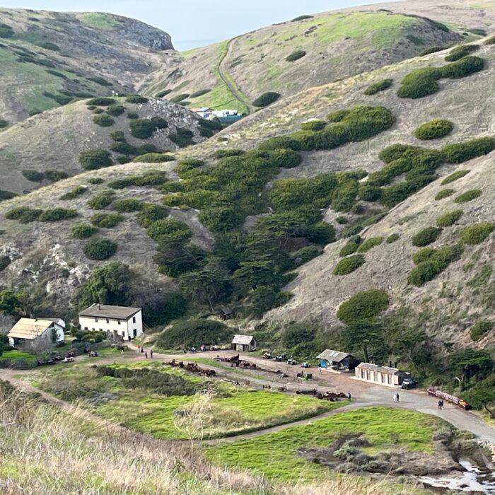 Remnants of a Remote Ranch: Thousands of Sheep Once Roamed Islands Now Preserved by NPS
