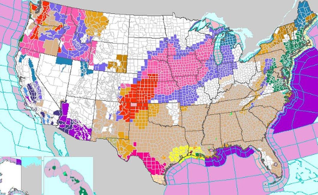 49 States Under Weather Alerts as Powerful Winter System Crosses US
