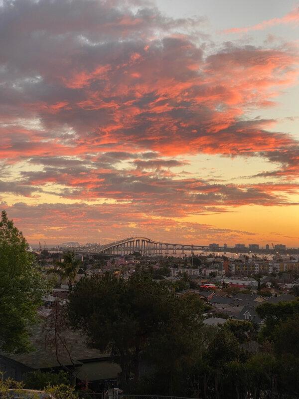 The view from Grant Hill Park. (Bella Ross/The San Diego Union-Tribune/TNS)