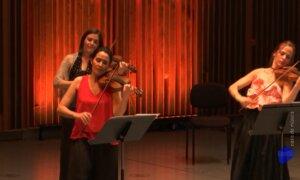 Wilhelmine von Preußen: Harpsichord Concerto in G Minor | Fernando Miguel Jalôto & OBCdM