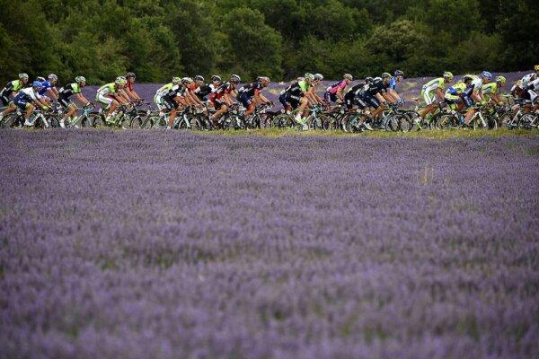The pack rides past a lavender field during the 222-kilometer 15th stage of the 101st edition of the Tour de France cycling race between Tallard and Nimes, southern France, on July 20, 2014. (Lionel Bonventure/AFP via Getty Images)