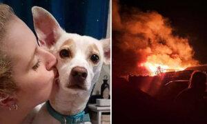 Woman Who Lost Everything in Devastating Fire Credits Her Dog With Saving Her Life