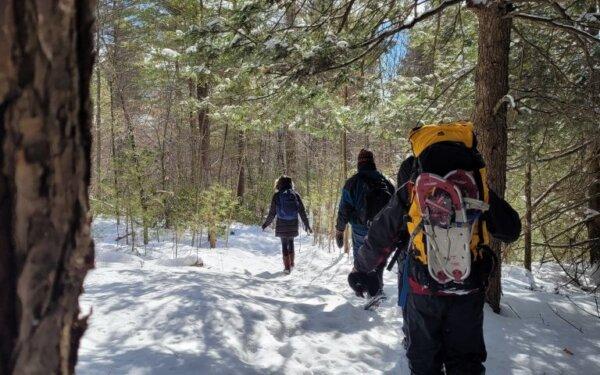 Forest Bathing on a Mindful Monday. (Adventure East/TNS)