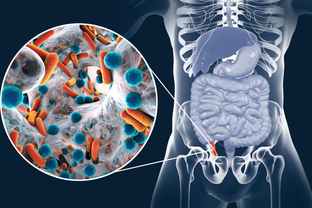 Is Your Appendix a Gut-Health Hero? 