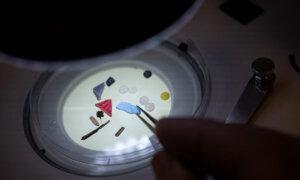 Scientists Discover Toxic Microplastics in Every Human Placenta Tested in Study