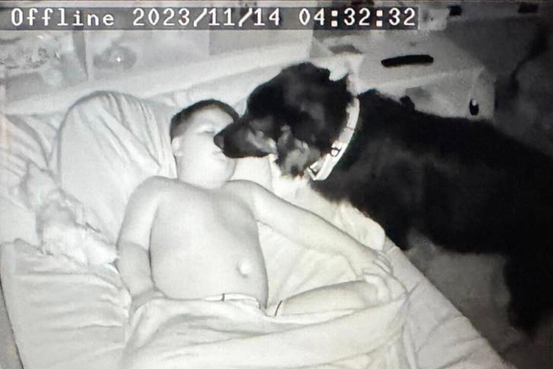 Camera Catches Dog Doing the Sweetest Thing for His 8-Year-Old Sick Best Friend: VIDEO