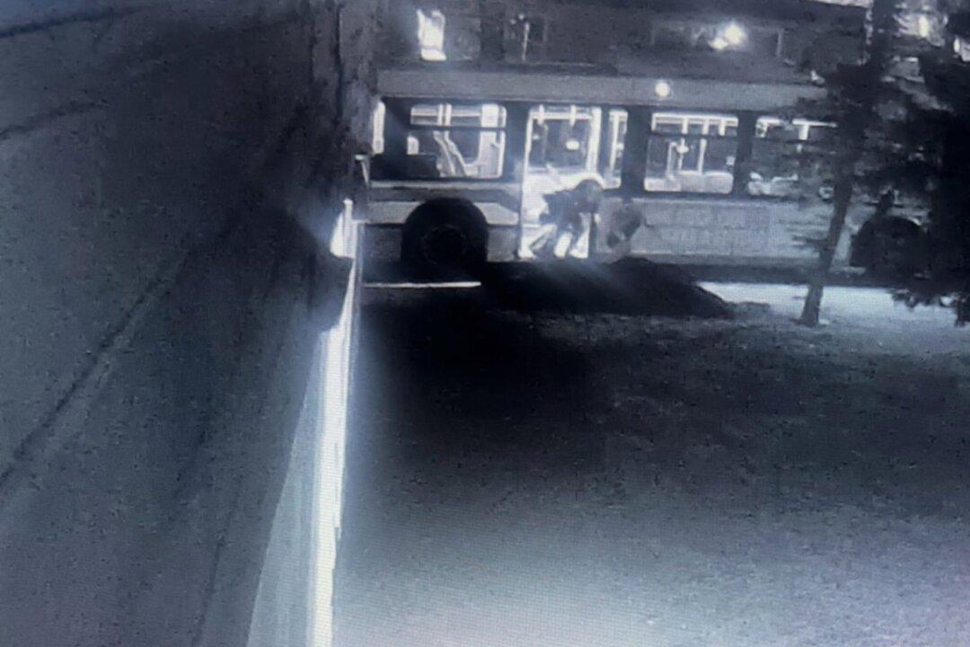 Security Footage Shows Motorists Driving Past Man Who Froze to Death After Falling Off Bus