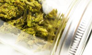 The Overlooked Mental and Physical Health Risks of Marijuana