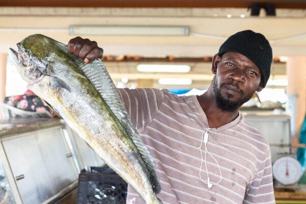 A fisherman shows off his catch at a market in a village in Barbados. (Rpianoshow/Dreamstime)
