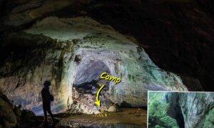 Villager Finds 3rd Largest Cave in the World in Deep Jungles—So Huge It Fits a Football Stadium
