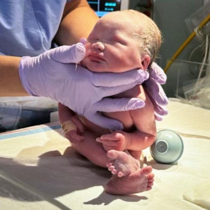 The Epoch Times