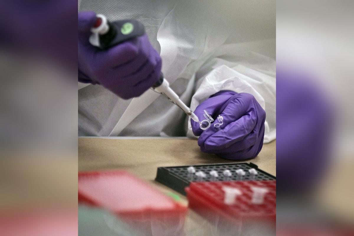 Adoptee DNA Matching Service Reveals Suspicious Link to China