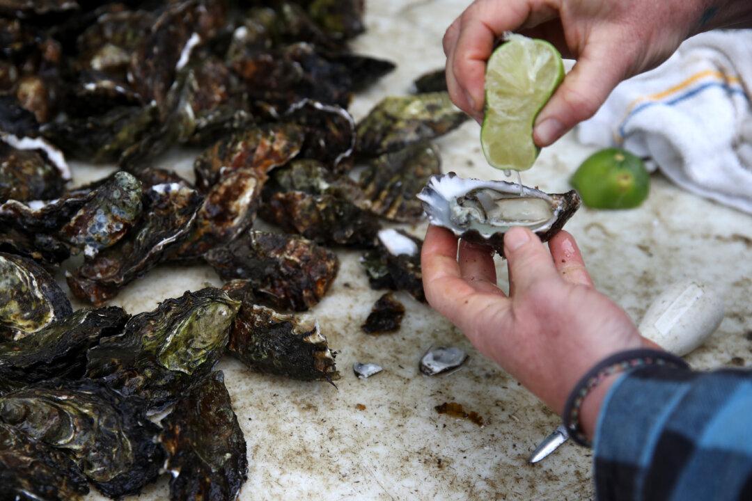 Imported Raw Oysters Linked to Norovirus Outbreak in Southern California: Officials