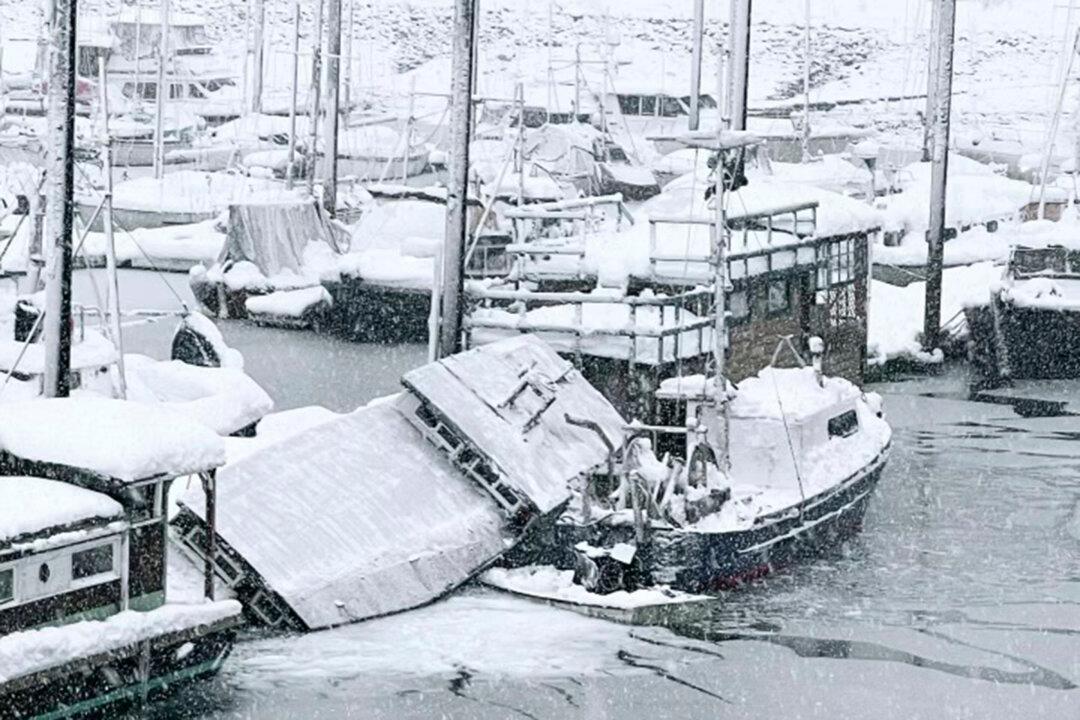 Dangerously Cold Temperatures Blast Much of US, Causing Power Outages and School Closures