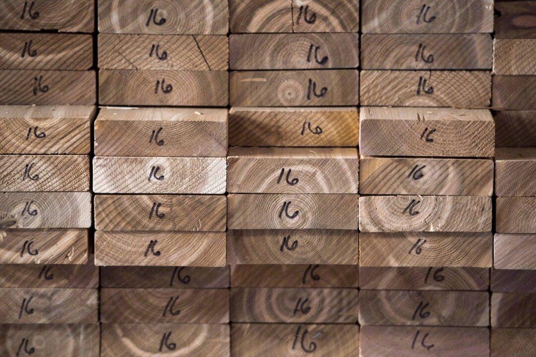 Trade Minister Cites Housing Shortage as Cause for Ceasefire in US Softwood Spat