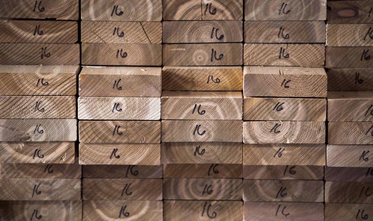 Trade Minister Cites Housing Shortage as Cause for Ceasefire in US Softwood Spat