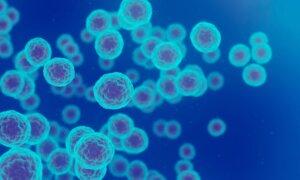 Rate of Cancer Deaths Projected to Increase by 93 Percent in Men in 2050