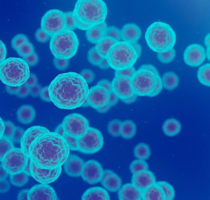 Prostate and Thyroid Cancers May Be Linked to HPV: Insights for Prevention