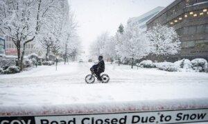 All Vancouver, Fraser Valley Schools Shut for Second Day as Winter Weather Persists