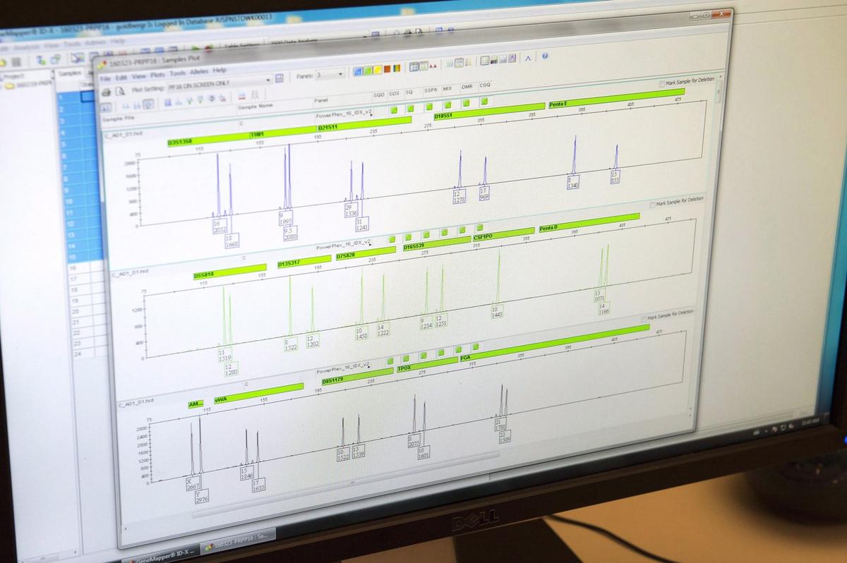 Genealogy Test Led to Ibrahim Ali’s Murder Arrest, but Methods Face Ethical Debate